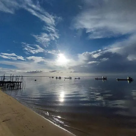 Escapades Au Ferret Ideal Famille Ou Groupe D'amis Avec Piscine Chauffee 5 Proche Plages Et Pistes Cyclables Commerces Sejour Paisible Au Coeur Du Bassin D'arcachon Nous Repondons Tres Rapidement Aux Demandes De Renseignements * Lège-Cap-Ferret